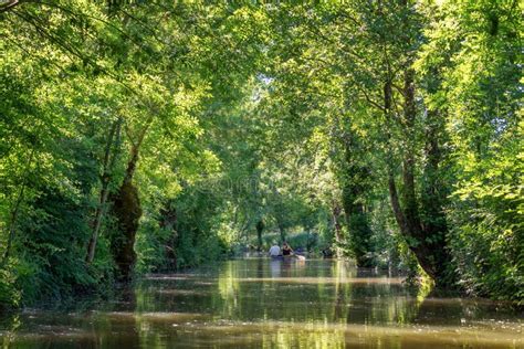 El Marais Poitevin: visite la Venecia Verde